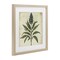 Stupell Industries Vintage Blue Botanical Illustration Framed Print Under Glass, design by Petal Prints Design